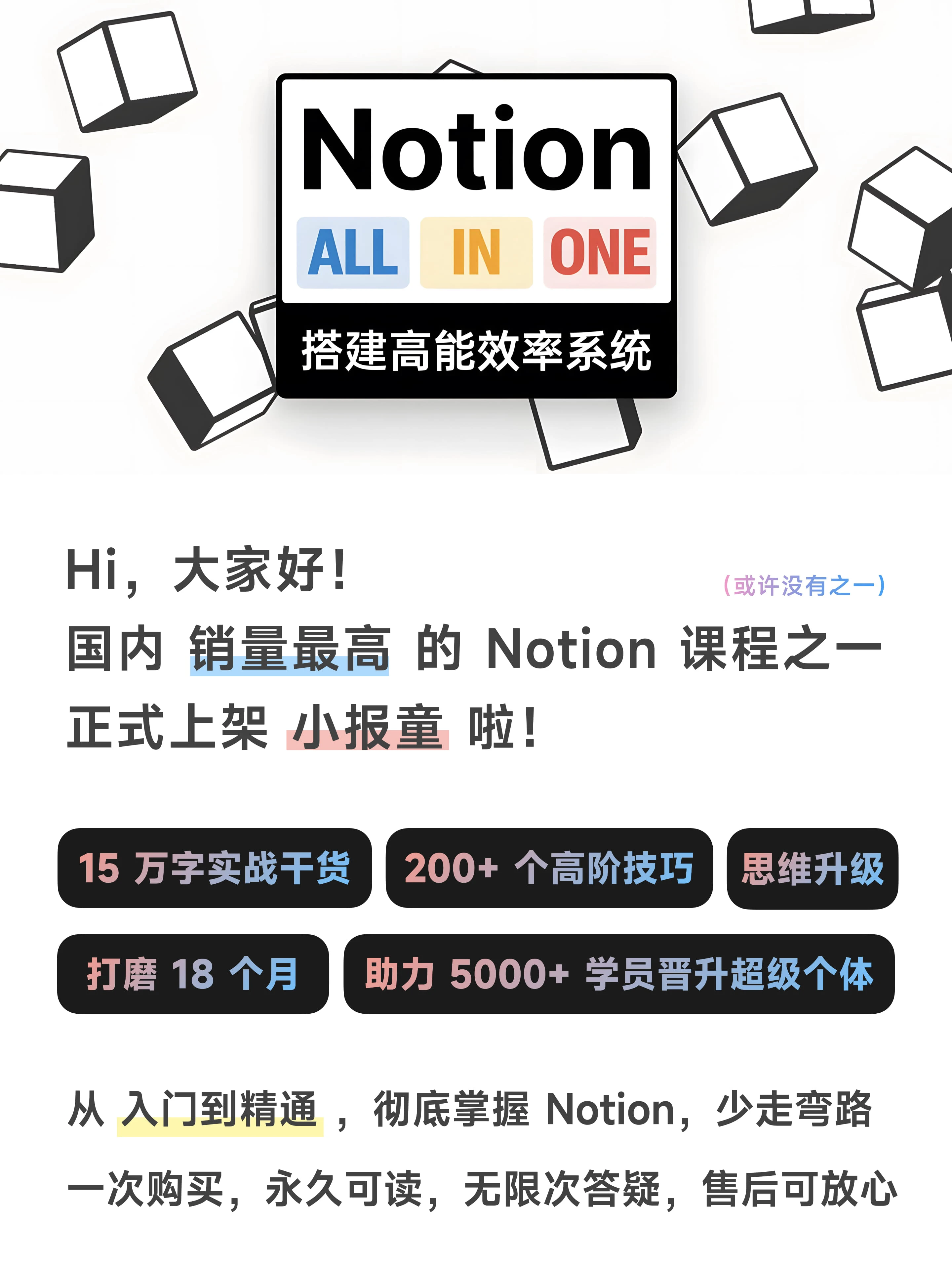 Notion All in One：搭建高能效率系统