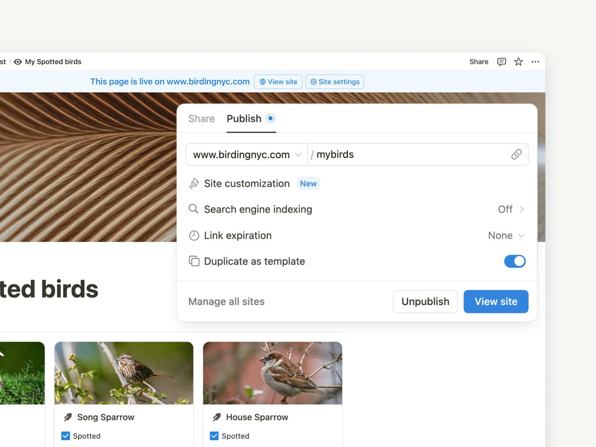 Notion升级,支持自定义分享页面地址URL